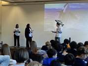 CCTA2025_Performance